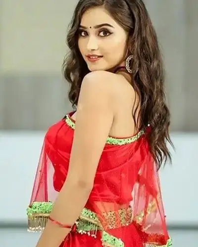 Call Girls Service Udham Singh Nagar